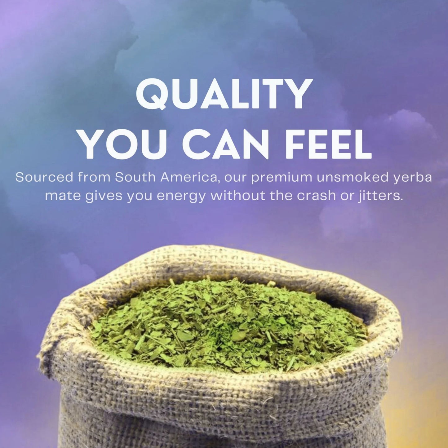 Yerba Mate Capsules (60ct)